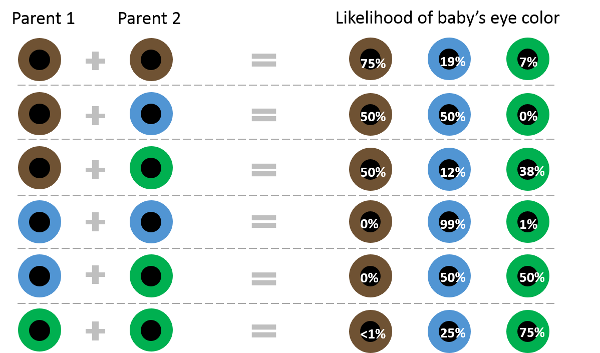 What Color Eyes Will My Baby Have Chart